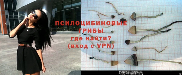 не бодяженный Абаза