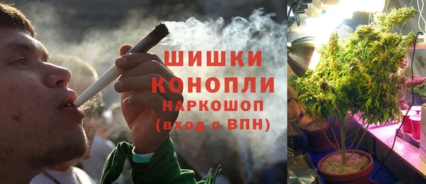 молекула духа Покровск