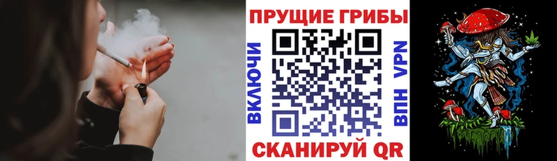 Псилоцибиновые грибы Psilocybine cubensis  Кадников 